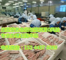 高清圖片境內勞務派遣 機遇、挑戰與合規管理